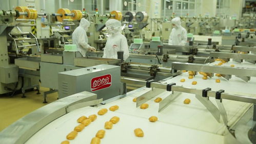 為巴黎奧運(yùn)會喝彩——盼盼之家巴黎體驗(yàn)店開幕與麥秸畫藝術(shù)盛宴